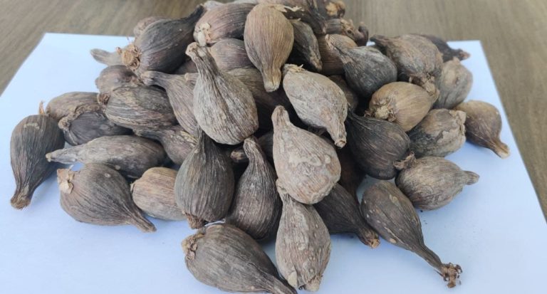 Supplier: Behibiret Lelewutsi Hulegeb Union Cooperatives Society from Ethiopia is looking for buyer Ethiopian origin Black Cardamom. quantity: 4 X 40 feet container, price: $3075/MT FOB Djibouti  port, Payment term: LC , contact at :+251904944444| +251909477312, Email: customerservice@tradethiopia.com