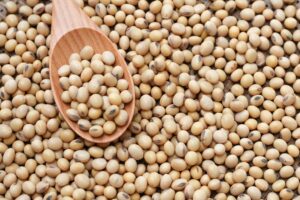 Buyer: Soya Beans buyer from Kenya is looking for Ethiopian origin Soya Beans supplier. Quantity: 10,000 MT per month, Contact at: +251 90 494 4444 | +251953130732|WhatsApp| Email: md@tradethiopia.com