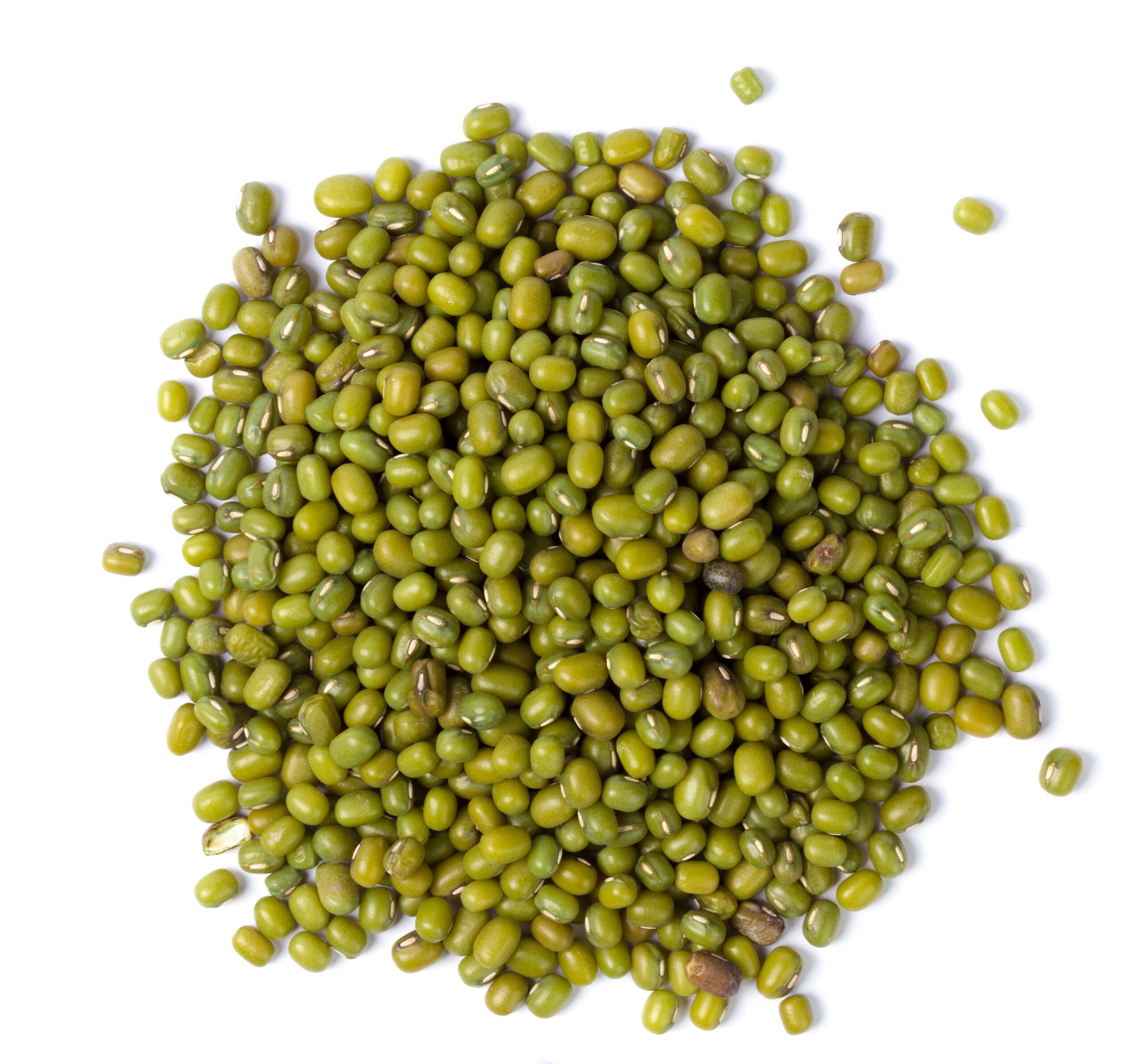 Buyer : Green mung beans buyer from Indonesia is looking for Ethiopian origin Green mung beans supplier. Contact at : +251953130732 | +251904944444 | WhatsApp | Email: customerservice@tradethiopia.com