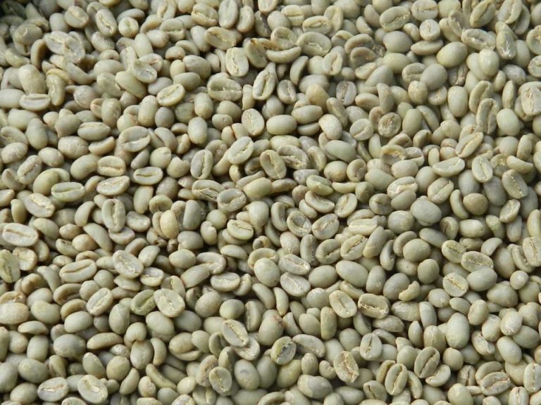 Supplier: Infonans Sidama Specialty G1 coffee beans from Ethiopia is Looking for buyer, Quantity : 2 X 20 feet containers. Contact at: +251911018855|+251904944444 | WhatsApp | Email: wondwossen@infonans.com