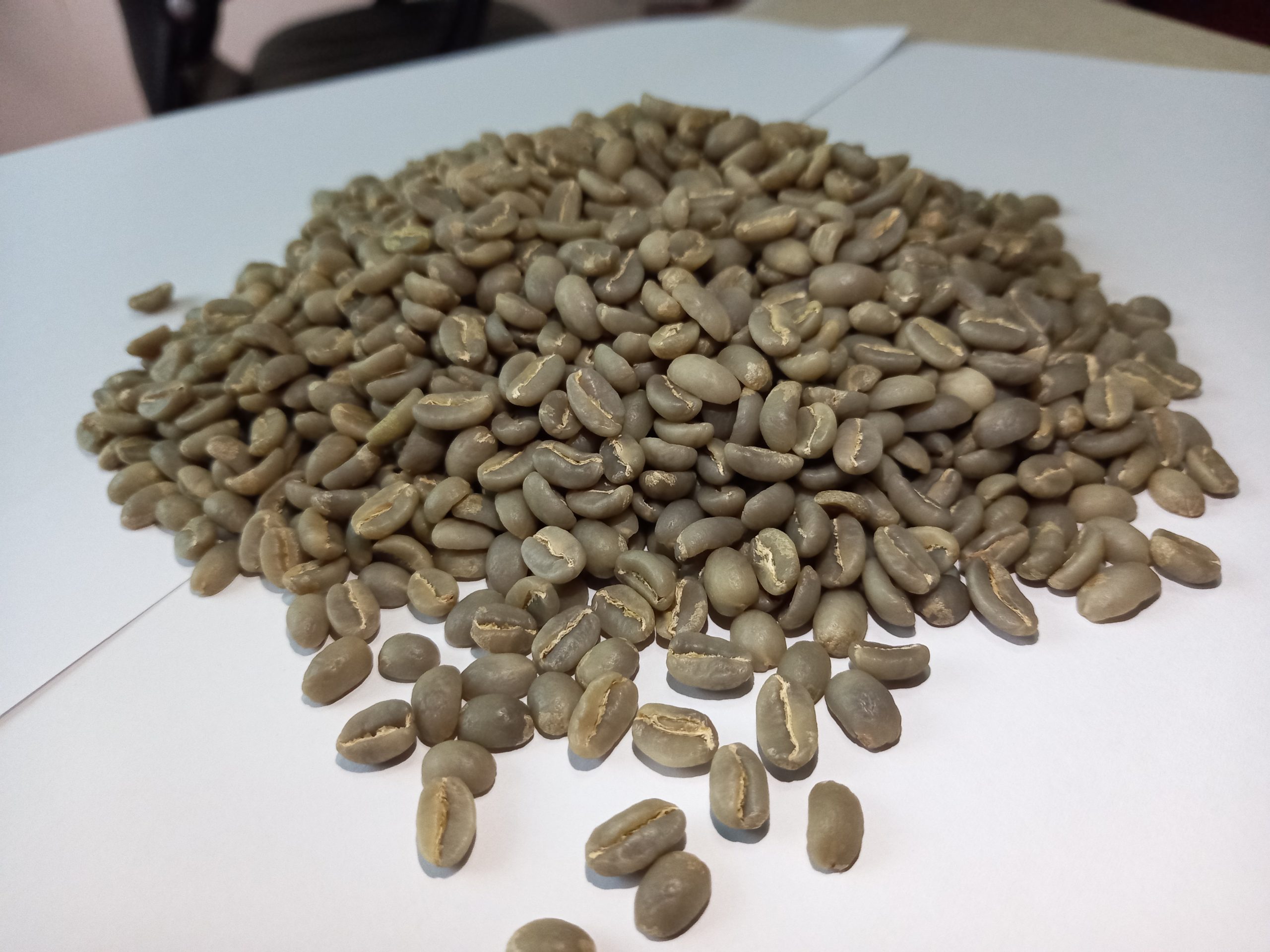 Supplier: Dara Coffee Export PLC from Ethiopia is looking for buyer Ethiopian origin coffee beans. Quality: Yergachefe G1 washed coffee. Quantity: 2 X 20 feet container. Price: $3.40/lb FOB Djibouti port. Contact :+251911238304 | +251 90 494 4444 | Email: md@tradethiopia.com