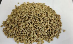 Buyer: Lekemti G4 natural coffee beans buyer from Algeria is looking for Ethiopian coffee beans supplier. Contact : +251904944444 |+251901158203 |WhatsApp Email : md@tradethiopia.com www.tradethiopia.com