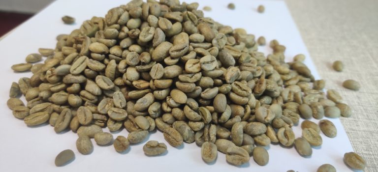 Supplier: Coffee beans supplier from Ethiopia is looking for Lekemti G4 coffee beans buyers . Quantity : 2 X 20 feet containers. Price: $ 4.188/Kg FOB Djibouti.  Contact :+251953130732 | +251904944444 | WhatsApp Email: md@tradethiopia.com customerservice@tradethiopia.com