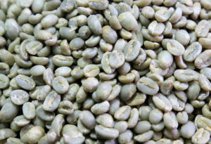 Buyer : Coffee beans buyer from Netherland Is looking for Ethiopian origin Limu G2 Washed coffee supplier. Minimum quantity : 2 X 20 feet containers. Contact :+251967732748 | +251901158203 | WhatsApp Email: customerservice@tradethiopia.com md@tradethiopia.com