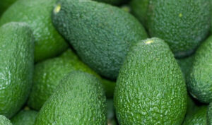 Buyer : Hass Avocado buyer from Dubai Is looking for Ethiopian origin Hass Avocado supplier. Contact : +251904944444 | +251967732748 | WhatsApp | Email : md@tradethiopia.com