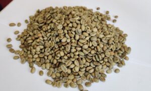 Buyer : Italy buyer is looking for supplier Ethiopian origin coffee beans. Quality: Djimma grade 5 natural coffee. Quantity: 5 X 20 feet container. Contact : +251 90 494 4444| +251901158203 | Email: md@tradethiopia.com