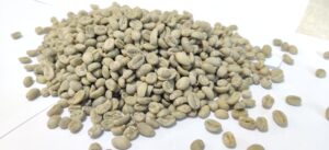 Buyer : Coffee beans buyer from Iran Is looking for Ethiopian origin Sidama specialty G1 Natural and Washed coffee suppliers. Destination : Iran, Bandar Abbas. Quantity : 4 X 20 feet containers. Contact : +251904944444 | +251901158203 | WhatsApp | Email : md@tradethiopia.com .