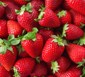 Buyer : Strawberry buyer from Oman Is looking for Ethiopian origin Strawberry supplier. Quantity: 1000 kg per week. Destination: Muscat Airport. Contact : +251904944444 | +251967732748 | WhatsApp | Email : md@tradethiopia.com