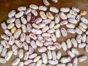 Buyer : A Indian buyer is looking for an Ethiopian supplier of light sprinkled kidney beans . Quantity : 10 x 20 feet containers. Delivery term : CNF. Destination: Mundra, India. Contact : +251904944444 | +251967732748  | WhatsApp | Email : md@tradethiopia.com