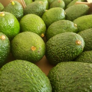 Buyer: Hass Avocado buyer from Dubai Is looking for Ethiopian origin Hass Avocado supplier. Quantity: 12 MT per week. Destination: Dubai Airport Dxb. Contact : +251904944444 | +251967732748 | WhatsApp | Email : md@tradethiopia.com