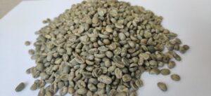 Supplier: Sakicha Trading plc from Ethiopian origin Guji G2 coffee beans supplier is looking for a buyer. Quantity : 8 X 20 feet containers. Contact : +251911245735 | +251973053737 | +251904944444 | WhatsApp | Email: linfo@sakicha.com | md@tradethiopia.com