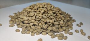 Supplier:  Deraro coffee exporter from Ethiopia is looking for a buyer. Quality: Guji specialty G1 natural coffee beans. Quantity : 4 X 20 feet containers. Contact : +251916452526 | +251904944444 | WhatsApp | Email: info@dirshayecoffee.com | md@tradethiopia.com