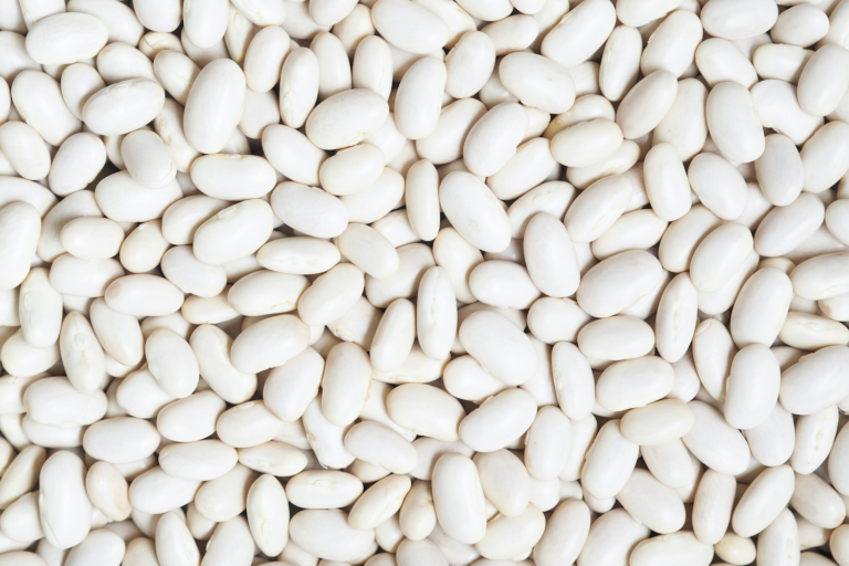 Supplier: White pea Bean supplier from Ethiopia is looking for a buyer. Quantity : 2 X 40 feet containers. Contact :+251904944444 | +251967732748 | WhatsApp | Email: md@tradethiopia.com