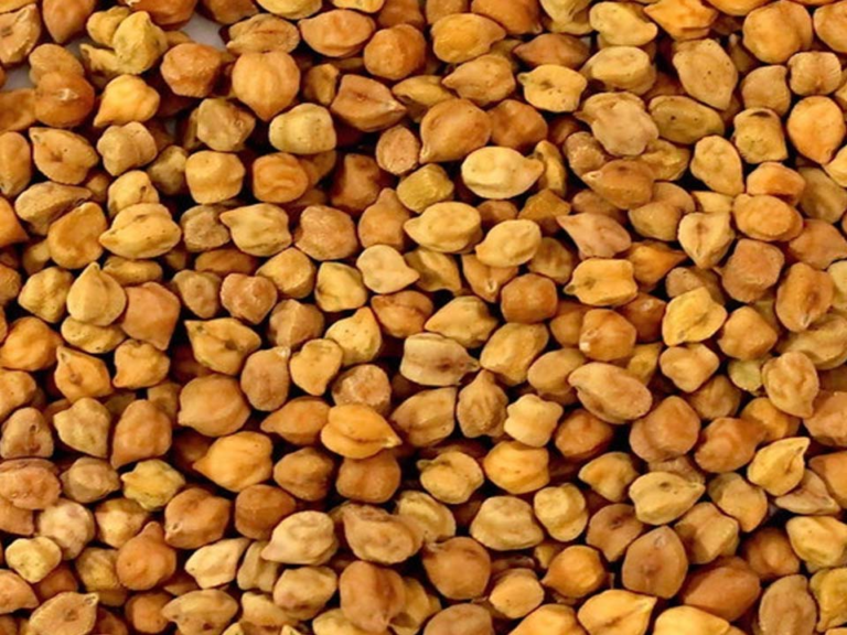 Supplier: Desi chickpeas supplier from Ethiopia is looking for a buyer. Quantity : 200MT. Contact :+251904944444 | +251967732748 | WhatsApp | Email: md@tradethiopia.com