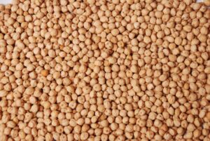 Buyer:  Kabuli Chickpeas buyer from Algeria is looking for Ethiopian supplier. Quantity: 500 MT per month. Destitution : Algiers port , Algeria. Contact : +251904944444 | +251967732748 | WhatsApp | Email : md@tradethiopia.com