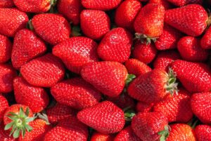 Buyer: Strawberry buyer from Oman Is looking for Ethiopian origin Strawberry supplier. Destination: Oman airport. Quantity: 1500 kg per week. Contact : +251904944444 | +251967732748 | WhatsApp | Email : md@tradethiopia.com