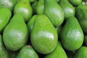 Buyer:  Avocado buyer from Ethiopia is looking for local supplier. Quantity: 2000 kg per week. Contact : +251904944444 | +251967732748 | WhatsApp | Email : md@tradethiopia.com