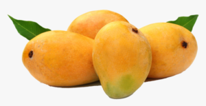 Buyer: Mango buyer from Dubai is looking for Ethiopian mango suppliers. Quantity: 1 X 20 feet container. Destination : Dubai International Airport. Contact : +251904944444 | +251967732748 | WhatsApp | Email : md@tradethiopia.com