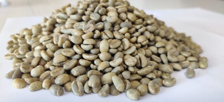 Supplier: Anene Trading plc from Ethiopia is looking for a coffee beans buyer. Quality: Guji G2 natural coffee beans. Quantity : 1 X 20 feet container. Contact : +251911858940  | +251904944444| WhatsApp | Email: anenetrading47@gmail.com | md@tradethiopia.com