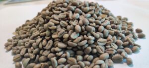 Supplier: Coffee beans Supplier from Ethiopia is looking for a coffee beans buyer. Quality: Yirgacheffe G2 natural, Quantity : 2 X 20 feet containers. Contact : +251911647133 | +251904944444 | WhatsApp | Email: albe2426@gmail.com | md@tradethiopia.com