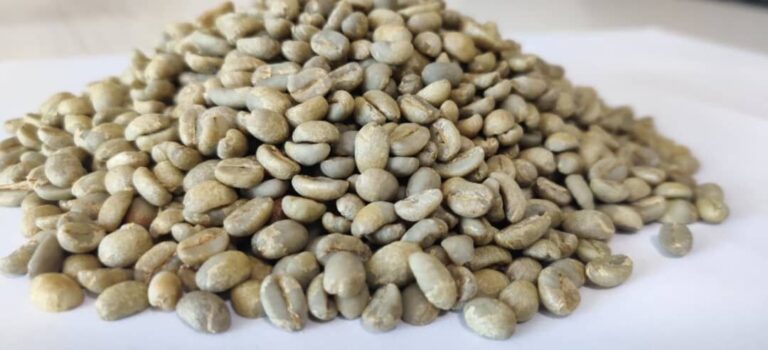 Supplier:  Coffee beans Supplier from Ethiopia is looking for a coffee beans buyers. Quality: Sidama Natural G4, Quantity : 10 X 20 feet containers. Contact : +251904944444 | +251967732748 | WhatsApp | Email: md@tradethiopia.com