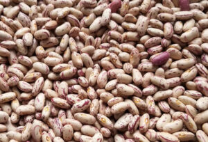 Buyer: LSKB Gojam & Shashemene type buyer from Pakistan is looking for Ethiopian LSKB Gojam & Shashemene type supplier. Destination : Karachi port , Pakistan. Contact : +251904944444 | +251967732748 | WhatsApp | Email : md@tradethiopia.com