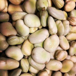 Buyer: Beans buyer from Kenya is looking for Ethiopian Beans supplier. Quantity: 1X20 Feet Container. Destination: Djibouti. Contact : +251904944444 | +251967732748 | WhatsApp | Email : md@tradethiopia.com