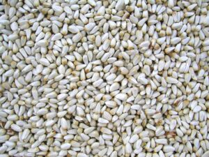 Buyer: Chia Seed buyer from London is looking for Ethiopian Origin Chia Seed supplier. Quantity: 2 X 20 Feet Containers. Destination: London. Contact : +251904944444 | +251967732748 | WhatsApp | Email : md@tradethiopia.com