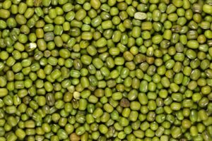 Buyer : Green Mung Beans Buyer from Nepal is looking for Ethiopian origin Green Mung Beans  suppliers. Quantity : 5 X 40 Feet Containers. Destination: ICD Birgunj port, Nepal. Contact : +251904944444 | +251967732748 | WhatsApp | Email : md@tradethiopia.com.