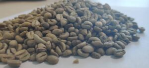 Supplier:  Coffee beans Supplier from Ethiopia is looking for a coffee beans buyers. Quality: DJimma Natural G5, Quantity : 10 X 20 feet containers. Contact : +251904944444 | +251967732748 | WhatsApp | Email: md@tradethiopia.com