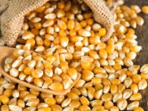 Buyer: Corn buyer from Dubai is looking for Ethiopian Corn supplier. Quantity: 1X20 Feet Container. Destination: Djibouti. Contact : +251904944444 | +251967732748 | WhatsApp | Email : md@tradethiopia.com