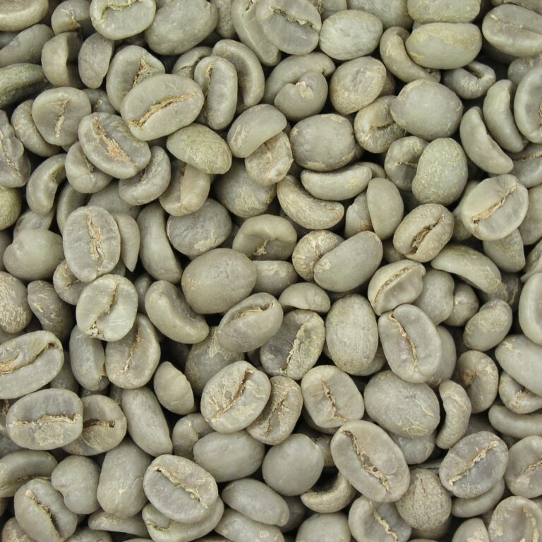 Supplier: Coffee beans supplier from Ethiopia is looking for a coffee beans buyers. Quality: Djimma G5, Natural, Quantity : 10 X 20 feet containers. Contact : +251904944444 | +251967732748 | WhatsApp | Email: md@tradethiopia.com