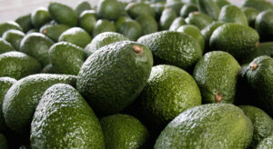 Supplier: Hass Avocado supplier from Ethiopia is looking for a Hass Avocado buyers. Quantity: 5,000 kg per week, Contact : |+251904944444 |+251967732748 | WhatsApp| Email: md@tradethiopia.com