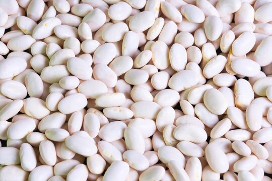 Buyer: White Pea Beans buyer from UAE is looking for Ethiopian White Pea Beans suppliers. Quantity: 3 x 40 Feet Containers. Destination: Chennai Port, India . Contact : +251904944444 | +251967732748 | whatsapp | email : md@tradethiopia.com