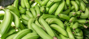 Buyer: Banana buyer from Turkey is looking for Ethiopian Banana suppliers. Quantity: 20 MT. Destination : Istanbul  , Turkey. Contact : +251904944444 | +251967732748 | WhatsApp | Email : md@tradethiopia.com