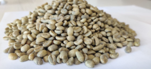 Supplier: Layo Dacha Coffee Export plc is looking for buyer. Quality: Yirgacheffe G1 natural Coffee. Quantity: 3 X 20 feet containers. Contact: +251114704117/ +251912128551/ |WhatsApp| Email:info@layodacha.com