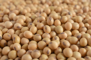 Buyer: Soybean.<br>Quantity: 3,000 MT.<br>Destination: China.<br>Payment: LC at sight.<br>Contact : +251929243367 | +251967732748 | WhatsApp.<br>Email: marketing@tradethiopia.com<br>Notice: Buyer need an urgent GACC license as well as shipping BI copies.