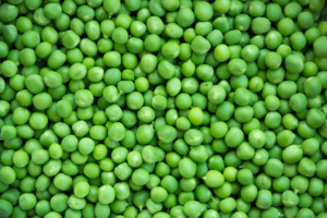 Buyer: Green Pea buyer from Turkey is looking for Green Pea Suppliers. Quantity: 1000 MT. Destination: Mersin port , Turkey. Contact : +251904944444 | +251967732748 | WhatsApp | Email : md@tradethiopia.com