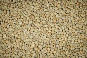 Supplier: Sador Coffee Trading PLC is looking for Yirgacheffe Coffee buyer. Quality: Yirgacheffe G1 natural Coffee. Quantity: 1 X 20 feet container. Contact: +251904944444 | +251930263326 |WhatsApp| Email: md@traethiopia.com