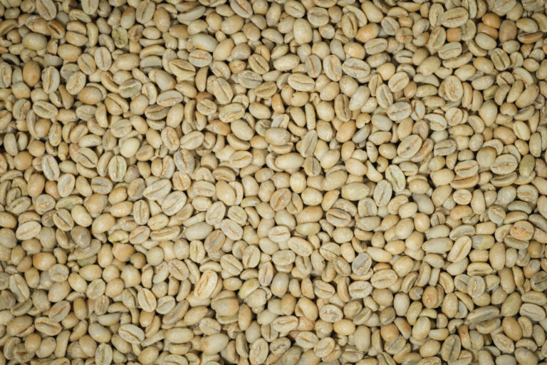 Supplier: Sador Coffee Trading PLC is looking for Yirgacheffe Coffee buyer. Quality: Yirgacheffe G1 natural Coffee. Quantity: 1 X 20 feet container. Contact: +251904944444 | +251930263326 |WhatsApp| Email: md@traethiopia.com