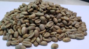 Buyer: Coffee Beans.<br>Quality: Sidama G4 washed RFA certified.<br>Quantity: 1 X 20 feet containers.<br>Destination: Lebanon.<br>Contact : +251929243367 | WhatsApp.<br>Email : marketing@tradethiopia.com