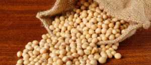 Buyer : Non-GMO Soy Beans.<br>Destination : Lianyungang port, China.<br>Contact : +251929243367 | WhatsApp<br>Email : marketing@tradethiopia.com