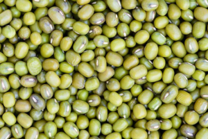 Supplier: Green Mung Beans.<br>Quantity: 10 X 20 feet.<br>Price: $1320 FOB.<br>Contact : +251929243367 | WhatsApp.<br>Email : marketing@tradethiopia.com