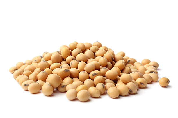 Supplier: Soybean.<br>Quantity: 20 X 20 feet.<br>Price: $630 FOB<br>Contact : +251929243367 | WhatsApp.<br>Email : marketing@tradethiopia.com