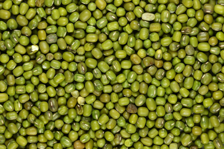 Supplier: Green Mung Beans.<br>Quantity: 20 X 20 feet.<br>Price: $1350 FOB. <br>Company name: Tesfay Yideg Import And Export.<br>Contact : +251929243367 | +251 93 828 0151 WhatsApp.