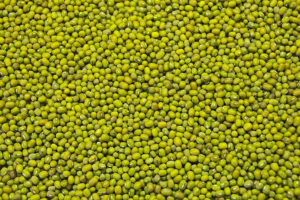 Buyer: Green Mung Beans.<br>Quantity: 190MT.<br>Destination: Indonesia.<br>Contact :  +62 812-6967-0677 | WhatsApp.<br>