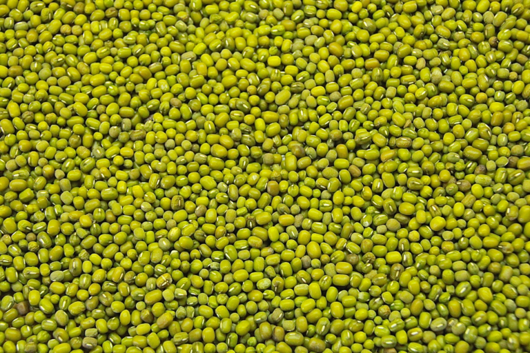 Supplier: Green Mung Beans.<br>Quantity: 20 X 20 feet.<br>Price: $1350 FOB.<br>Contact : +251929243367 | +251 93 828 0151 WhatsApp.<br>Email : marketing@tradethiopia.com