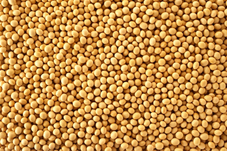 Supplier: Soya Bean.<br>Quantity: 20 X 20 feet.<br>Price: $650 FOB.<br>Company name: Tesfay Yideg Import And Export.<br>Contact : +251929243367 | +251 93 828 0151 WhatsApp.<br>Email : marketing@tradethiopia.com