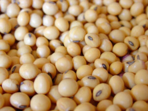 Buyer : Soybeans.<br>Quantity: 1042 MT per month.<br>Destination: China.<br>Contact : +251904944444 | WhatsApp.<br>Email: md@tradethiopia.com