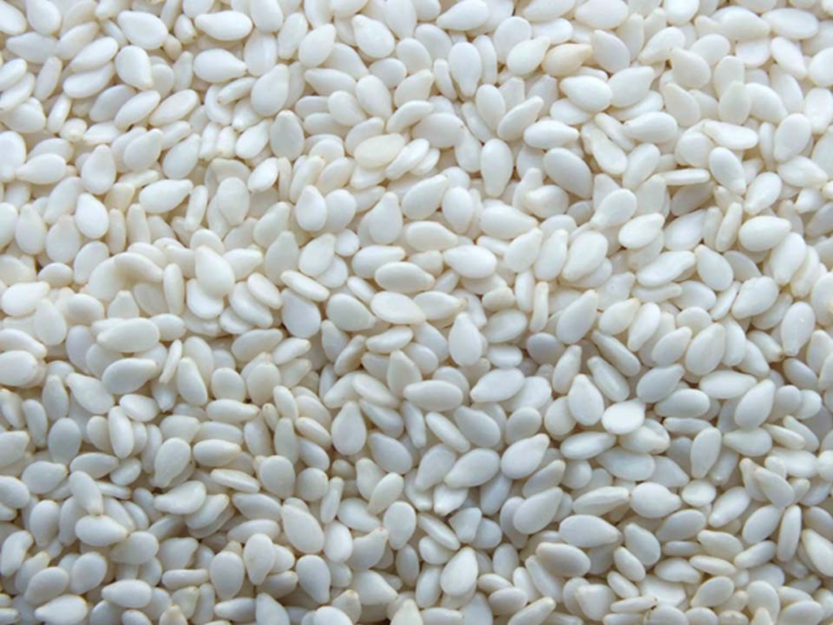 Supplier: Sesame.<br>Type: Whitish Humera.<br>Quantity: 30×20 Feet Container.<br>Contact: +251904944444 | WhatsApp.<br>Email: md@tradethiopia.com